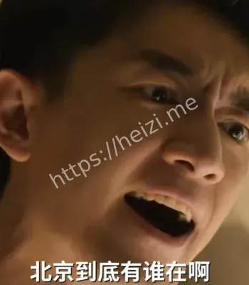 行走的表情包